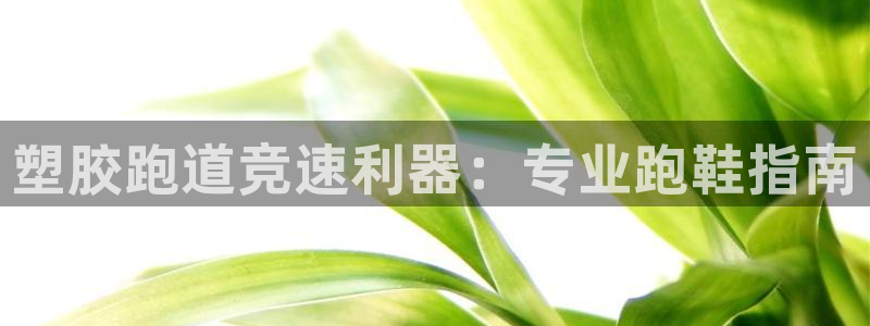 尊龙凯时v7要冲多少：塑胶跑道竞速利器：专业跑鞋指南