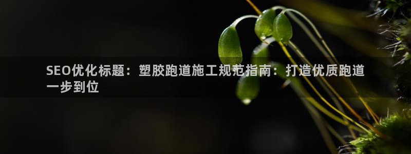 尊龙人生就是博官网登录手机：SEO优化标题：塑胶跑道施工规范指南：打造优质跑道
一步到位