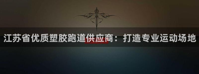 AG尊龙注册在线游戏：江苏省优质塑胶跑道供应商：打造专业运动场地