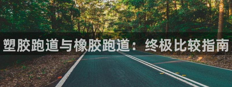 尊龙app官网登录：塑胶跑道与橡胶跑道：终极比较指南