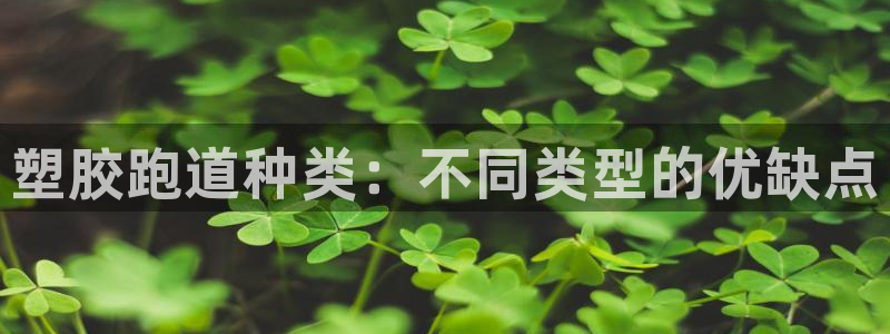 尊龙人生就是博管网:塑胶跑道种类:不同类型的优缺点